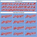 Maglia da baseball azzurra autentica personalizzata a righe bianche e rosse Maglia da baseball azzurra autentica personalizzata a righe bianche e rosse